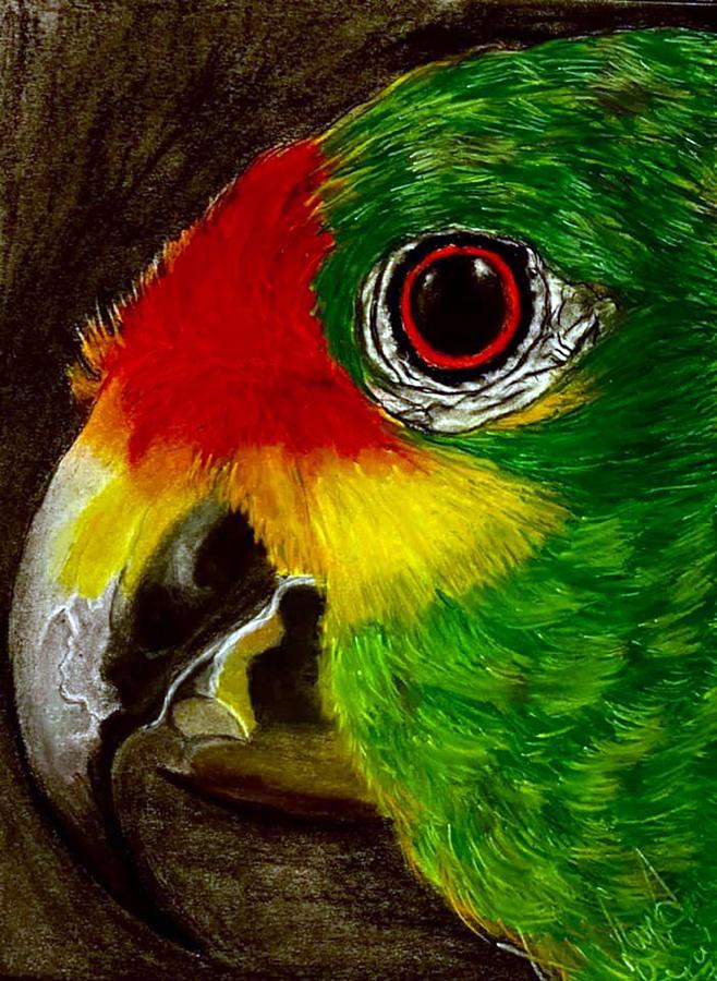 Popinjay Painting by Lakshmi Rajagopal