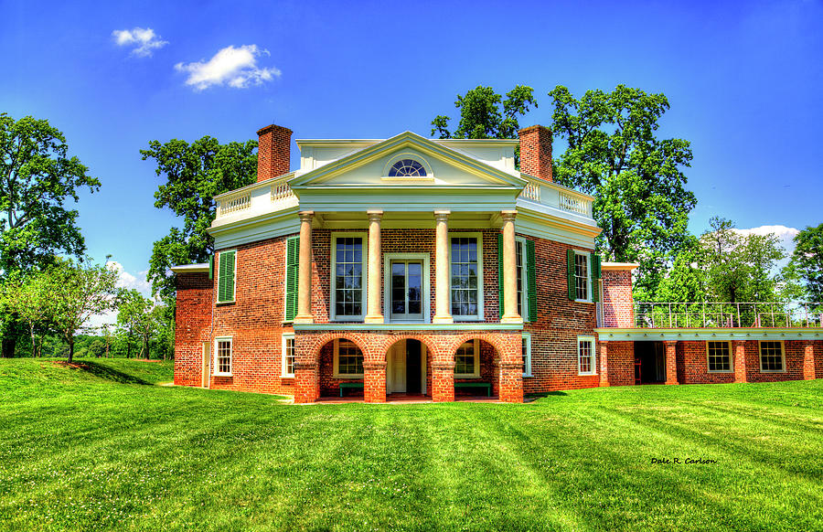 Poplar Forest Photograph by Dale R Carlson
