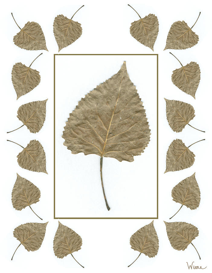 Poplar Leaves with Border Mixed Media by Lise Winne