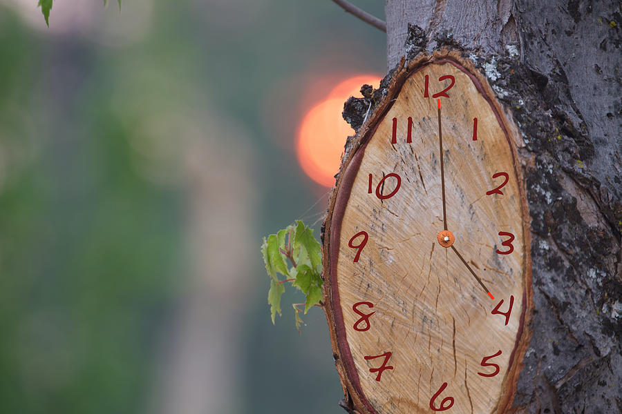 Tree Clock Mixed Media by SC Heffner