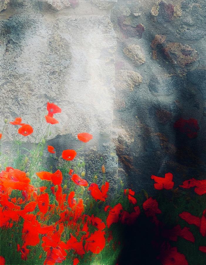 Poppies At Pompeii  Photograph by Frank Bright
