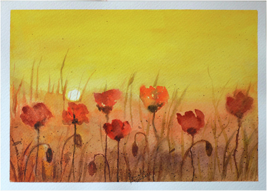 Poppies Charm At Sunrise Painting