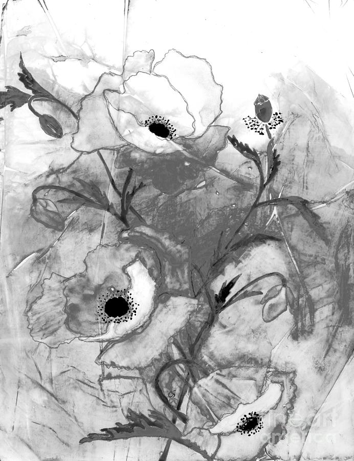 Poppies in Black and White Digital Art by Conni Schaftenaar
