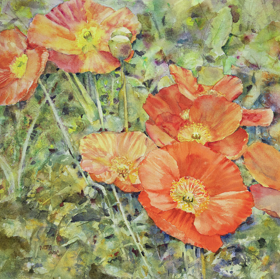 Poppies Painting by Melanie Harman