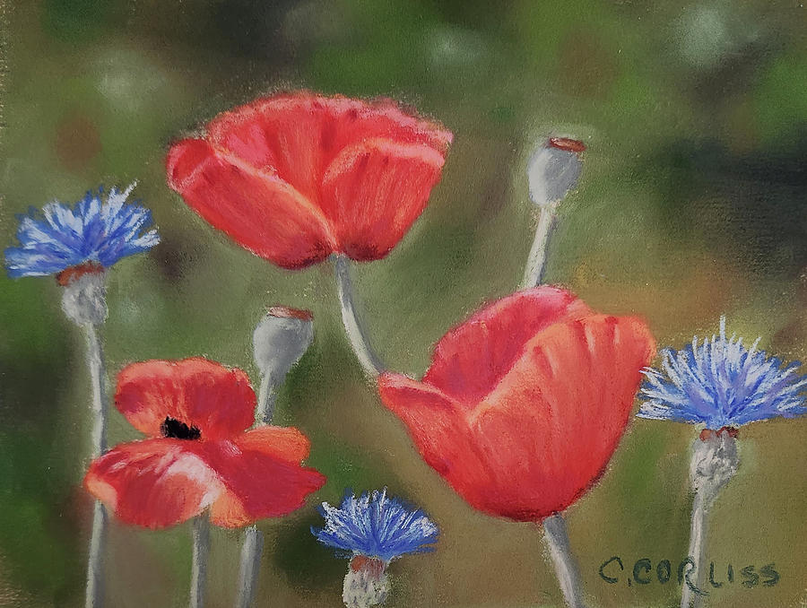 Poppies, Poppies, Poppies Pastel by Carol Corliss