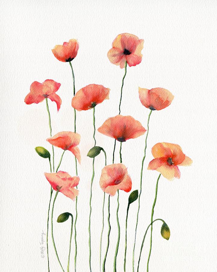 Poppies Watercolor White Background  Painting by Melly Terpening