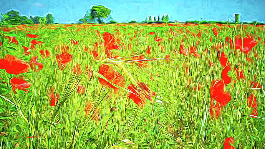 Poppies with painted look Photograph by Sue Leonard