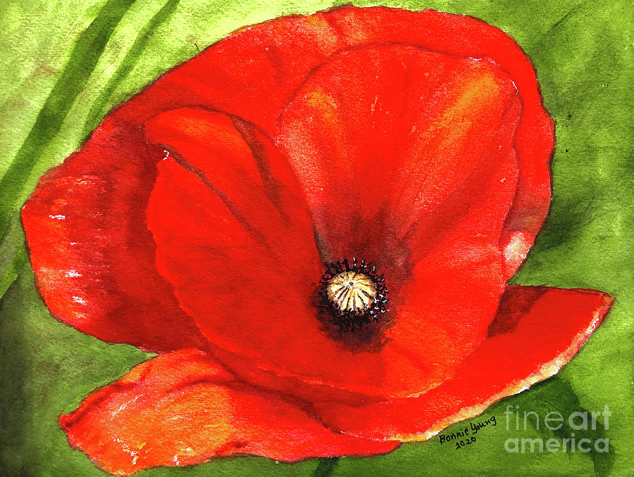 Poppy Painting by Bonnie Young