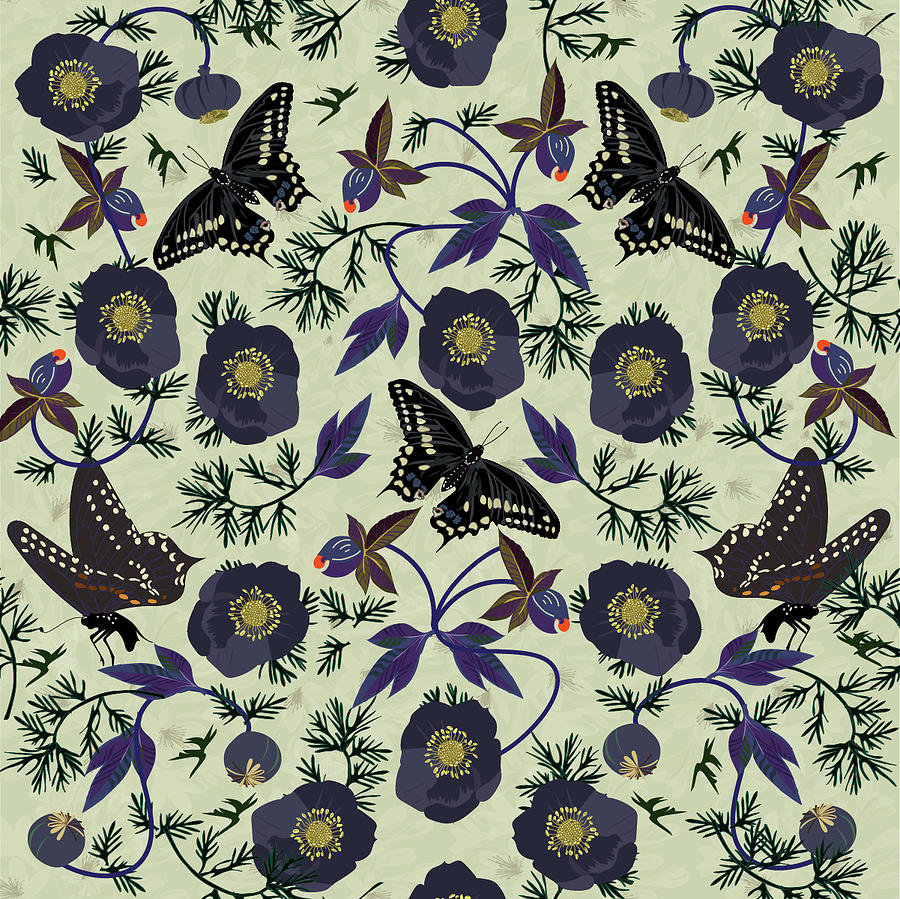 Poppy Butterfly Digital Art by Kim Prowse