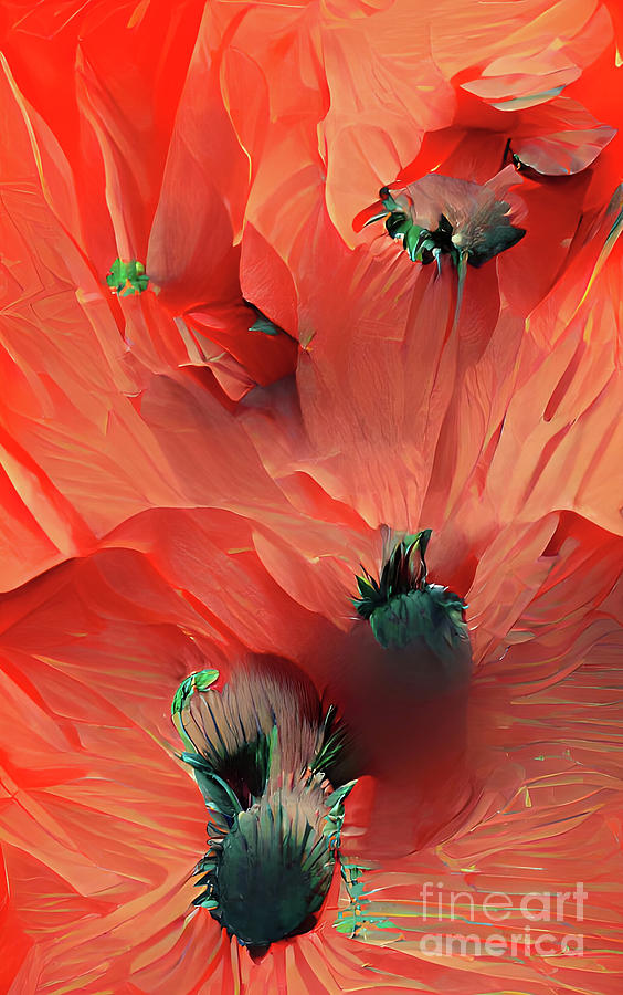 Poppy Delight Digital Art by Elaine Manley