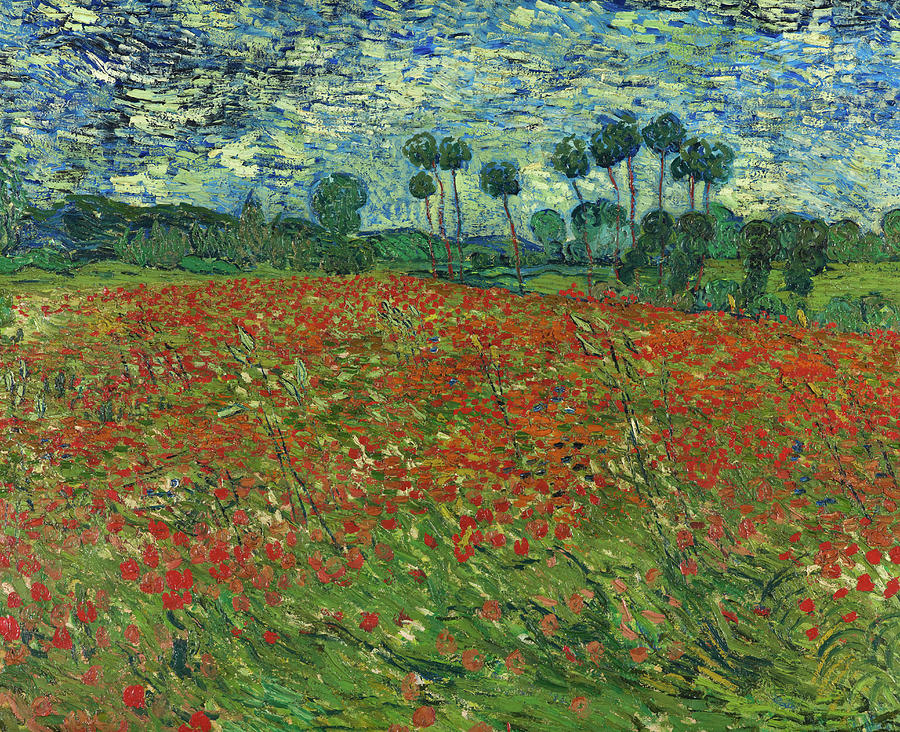 Poppy Field, 1890 Painting by Vincent van Gogh