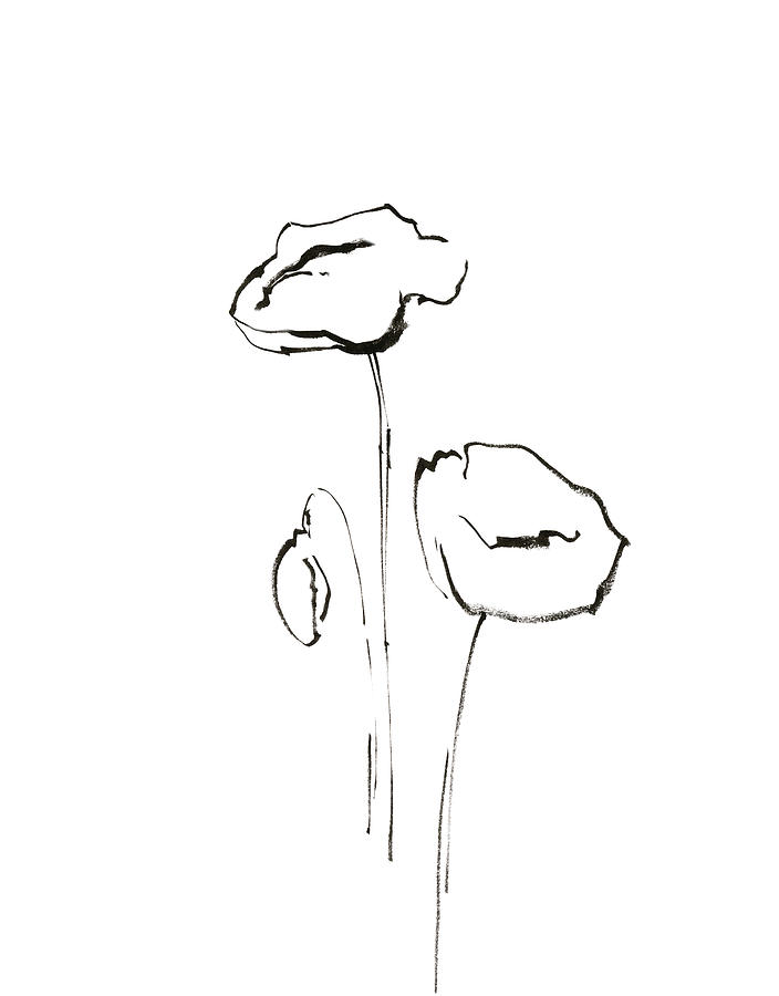 Poppy Floral Drawing