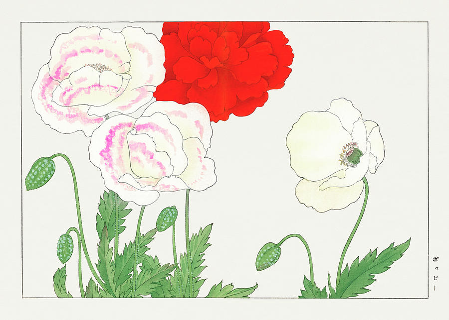 Poppy Flower 2 - Ukiyo e art - Vintage Japanese woodblock art - Seiyo SOKA ZUFU by Tanigami Konan Digital Art by Studio Grafiikka