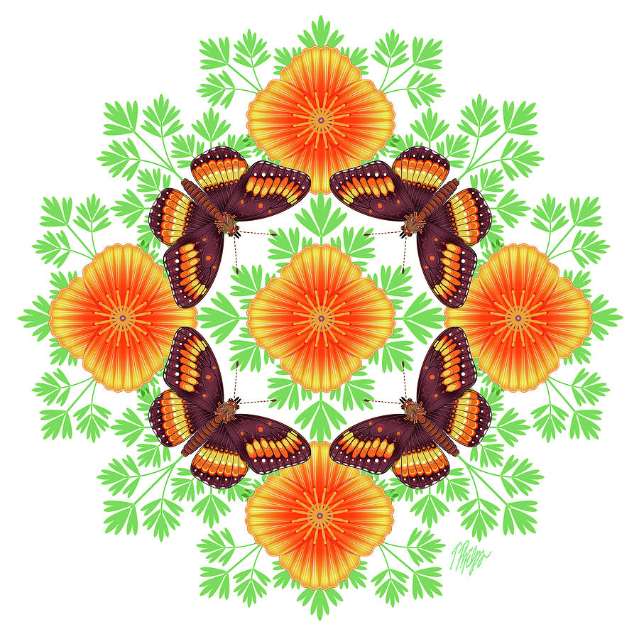 Poppy Flower Chlosyne #1 Mandala Digital Art by Tim Phelps
