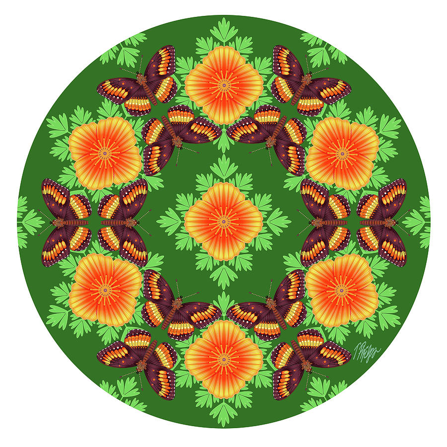 Poppy Flower Chlosyne #5 Mandala Digital Art by Tim Phelps - Pixels