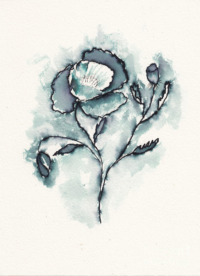 Poppy Flower in Ink Drawing by Conni Schaftenaar