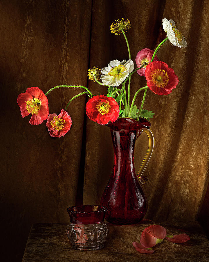 Poppy Flowers in Antique Red Pitcher Photograph by Lily Malor
