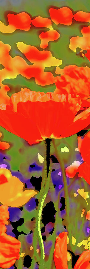 Poppy Digital Art by Fran Riley