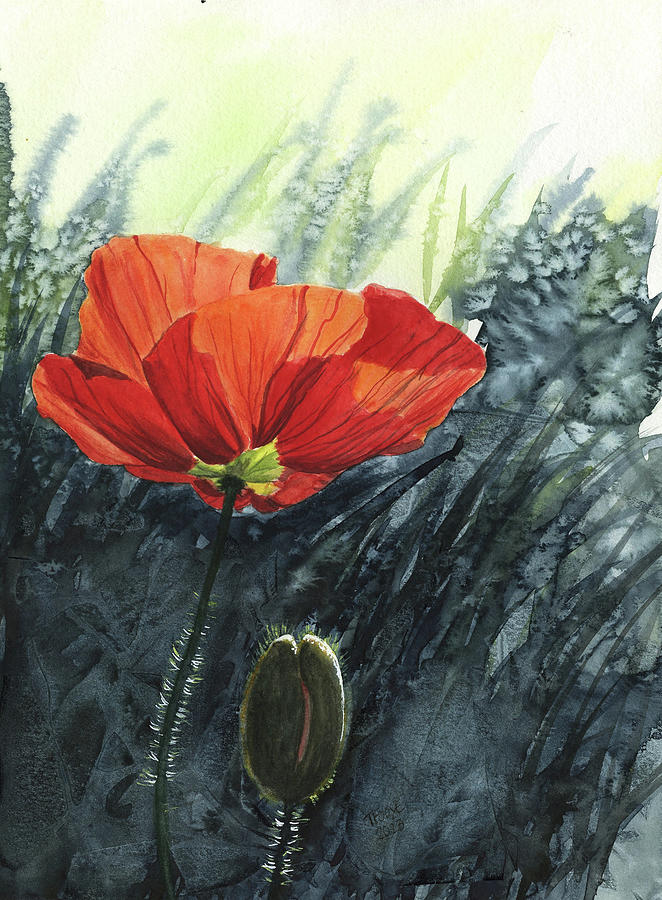 Poppy Painting - Poppy in the Sunlight by Taphath Foose