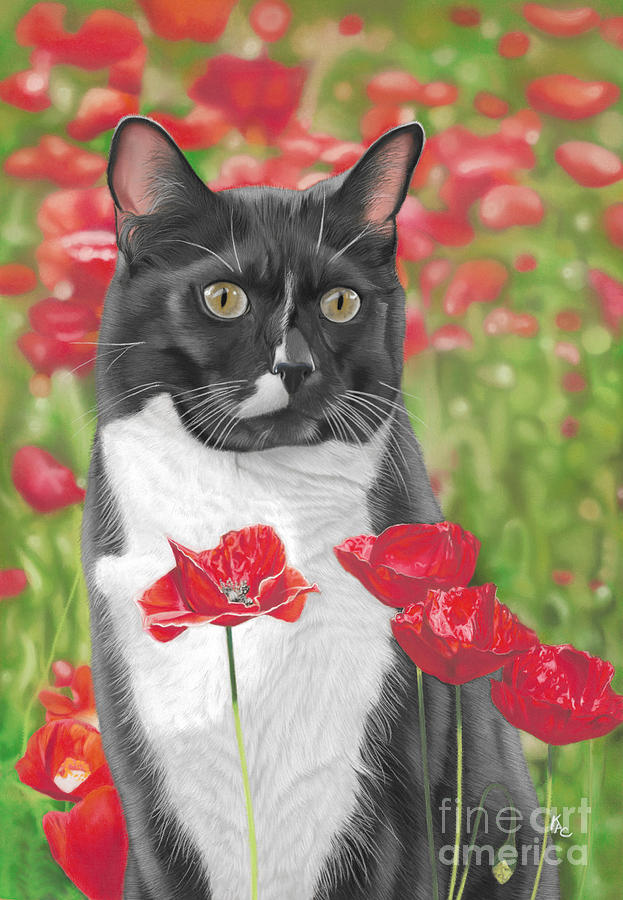 Cat Painting - Poppy by Karie-ann Cooper