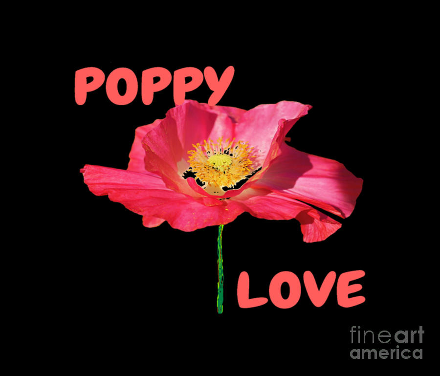 Poppy Love Mixed Media by Denise Morgan