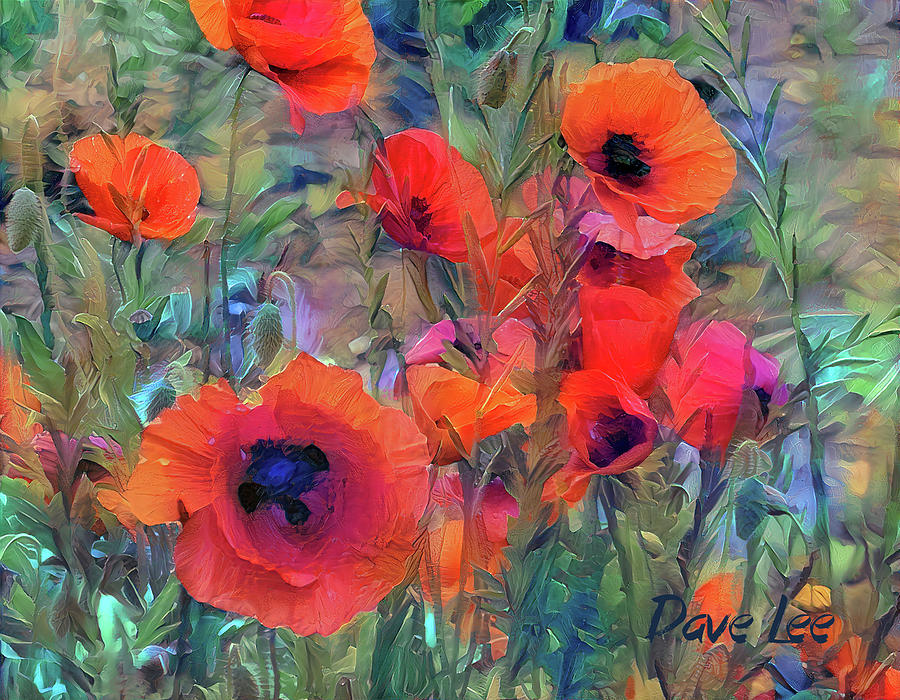 Poppy Party Digital Art by Dave Lee