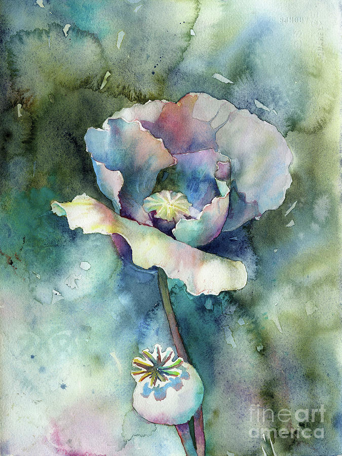 Poppy Painting by Ryan Fox
