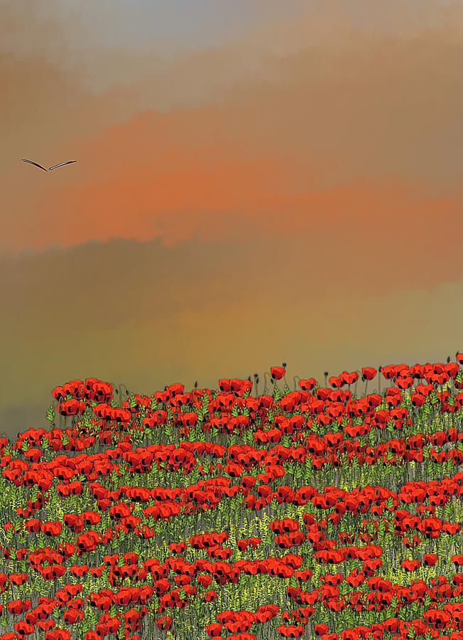 Abstract Digital Art - Poppy sunrise by David Lane