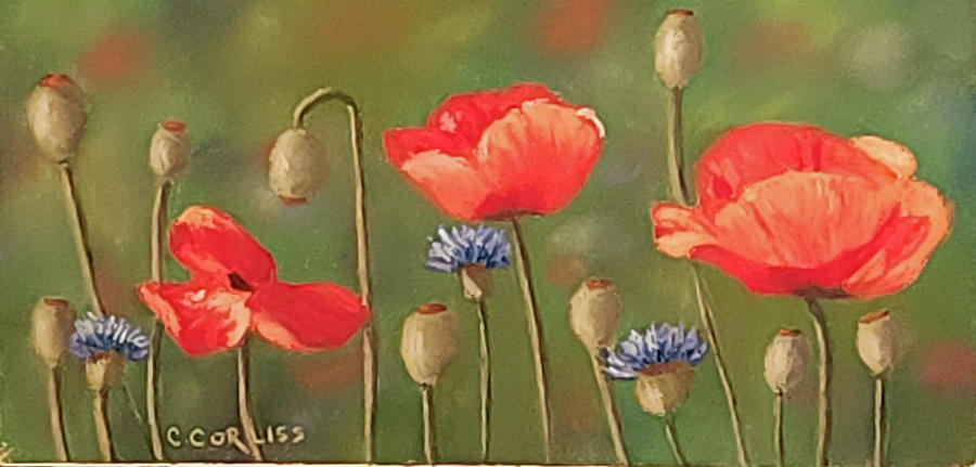 Poppy Trio II Pastel by Carol Corliss