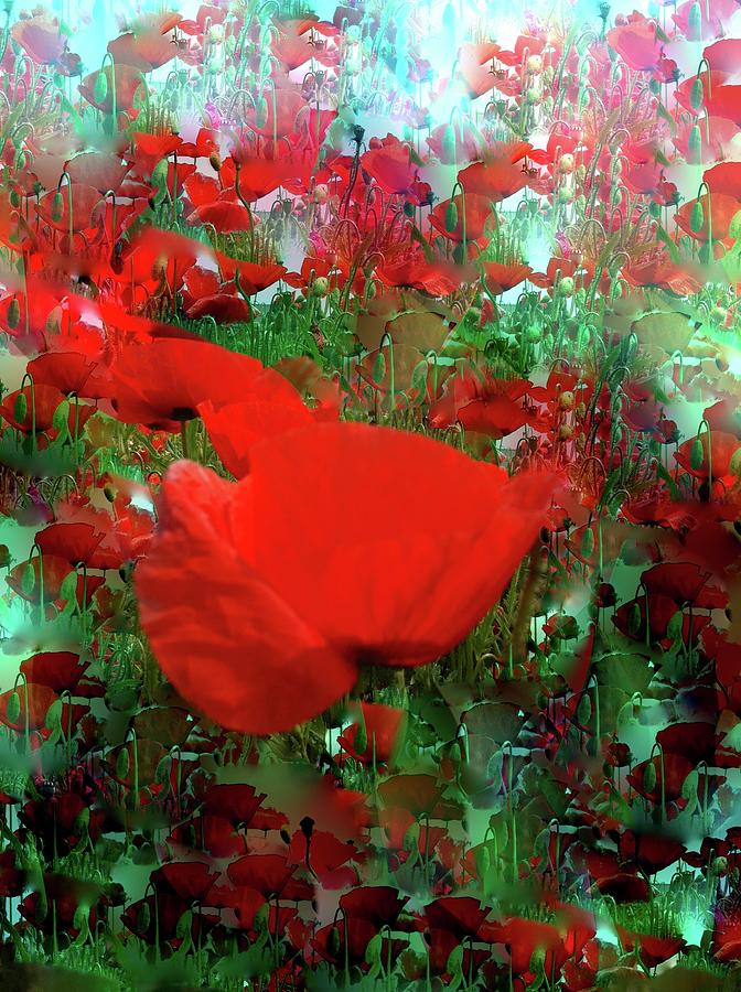Poppyfield Digital Art by Marjolein Haecker - de Bruin