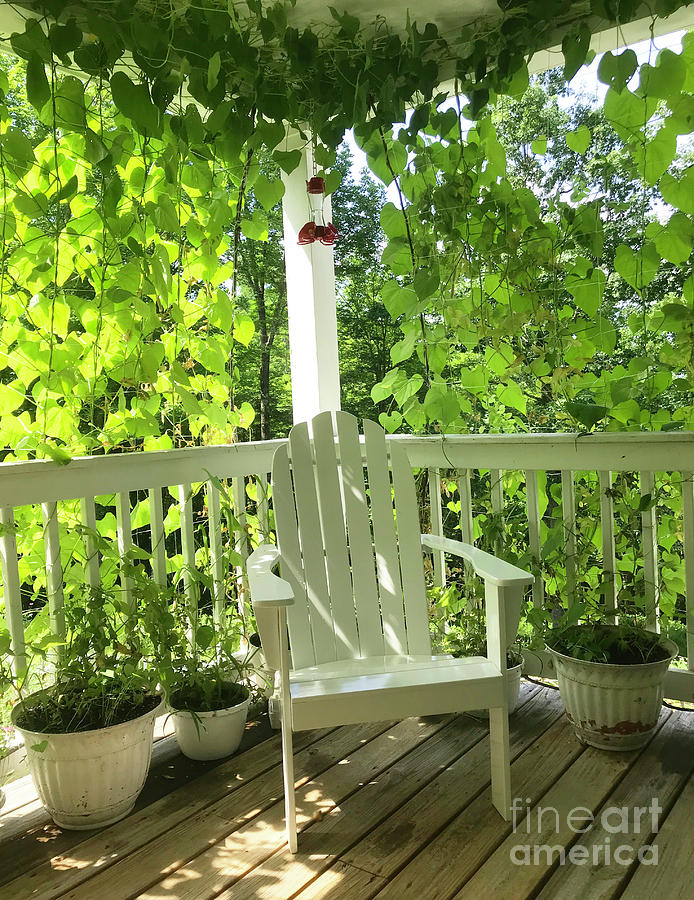Porch Peas and Morning Glories. Entwined Hummingbird Throne. The Victory Garden Collection. Photograph by Amy E Fraser