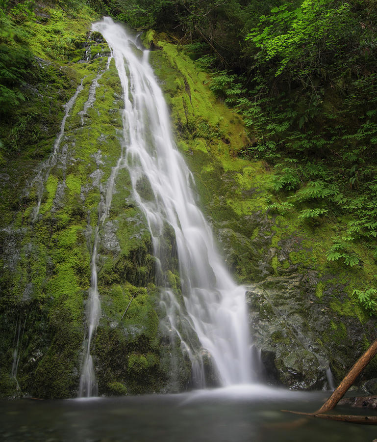 Port Angeles Waterfall Photograph by Brian Howerton