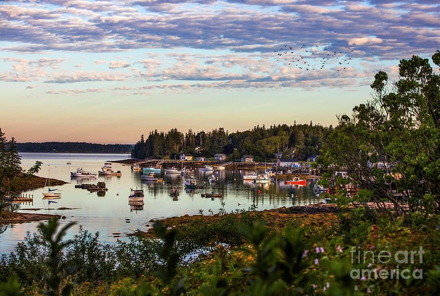 Boat Photograph - Port Clyde Harbor, Maine by Diane Diederich