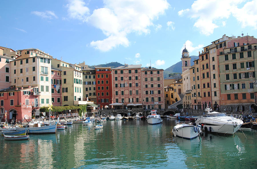 Port in Camogli Photograph by Vallee Johnson