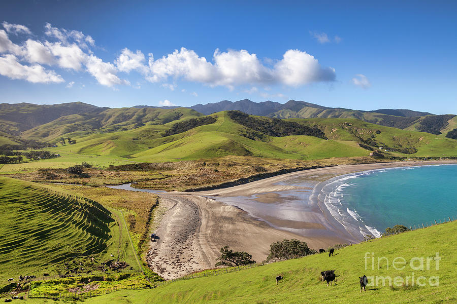 Port Jackson, Coromandel, New Zealand Photograph by Colin and Linda McKie