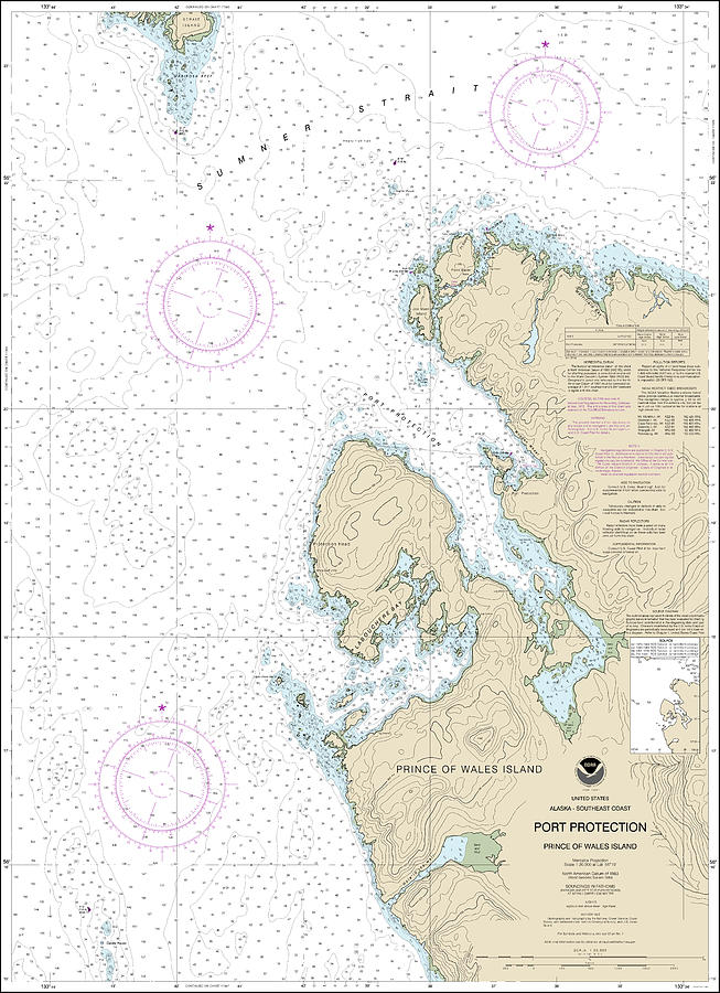 Port Protection Prince of Wales Island Nautical Chart 17378 No Borders ...