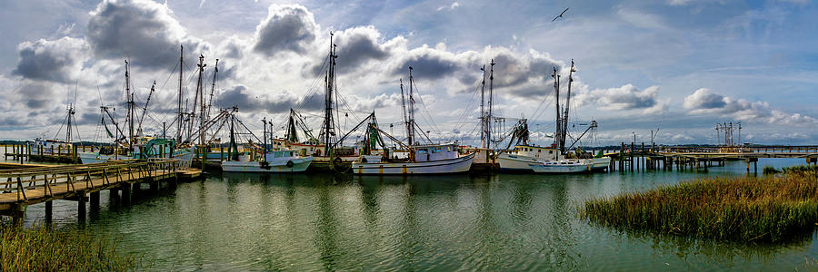 Port Royal Panorama Photograph by Norma Brandsberg