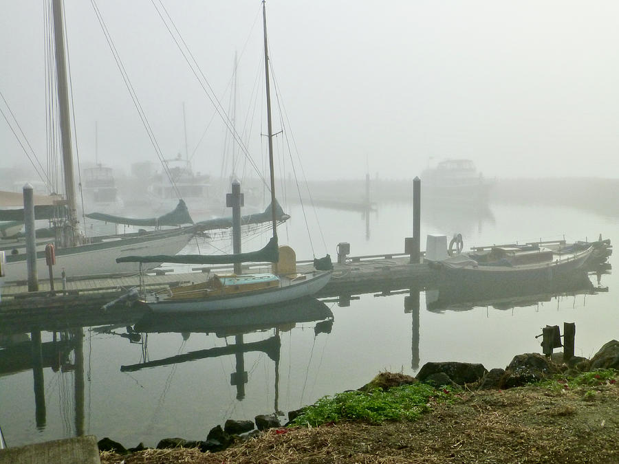 Port Townsend Harbor Photograph by Amelia Racca