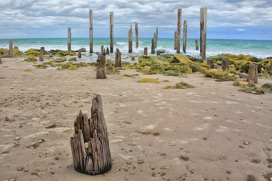 Port Willunga Jetty Pylons in South Australia Photograph by Matthew ...