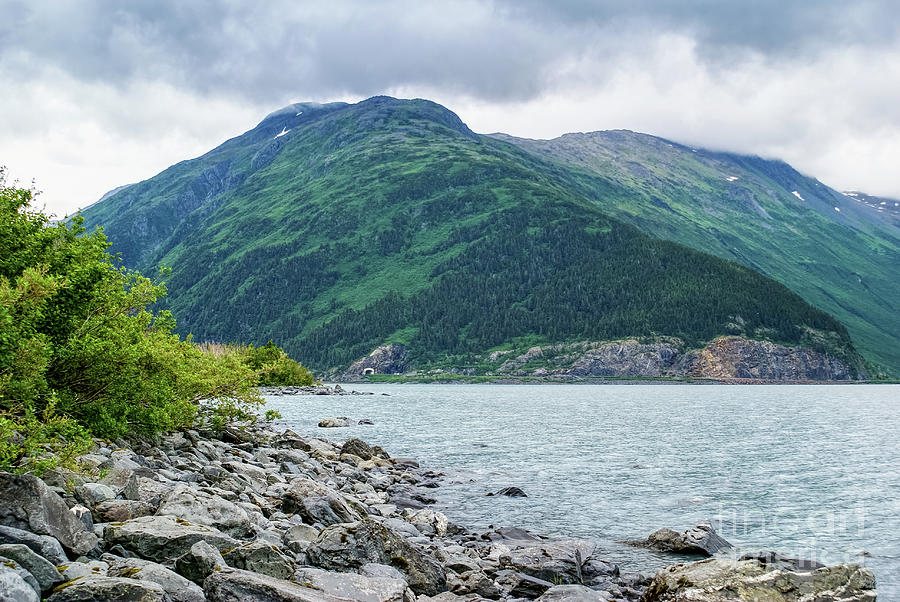 Portage Lake Alaska Shoreline Photograph by Jennifer White