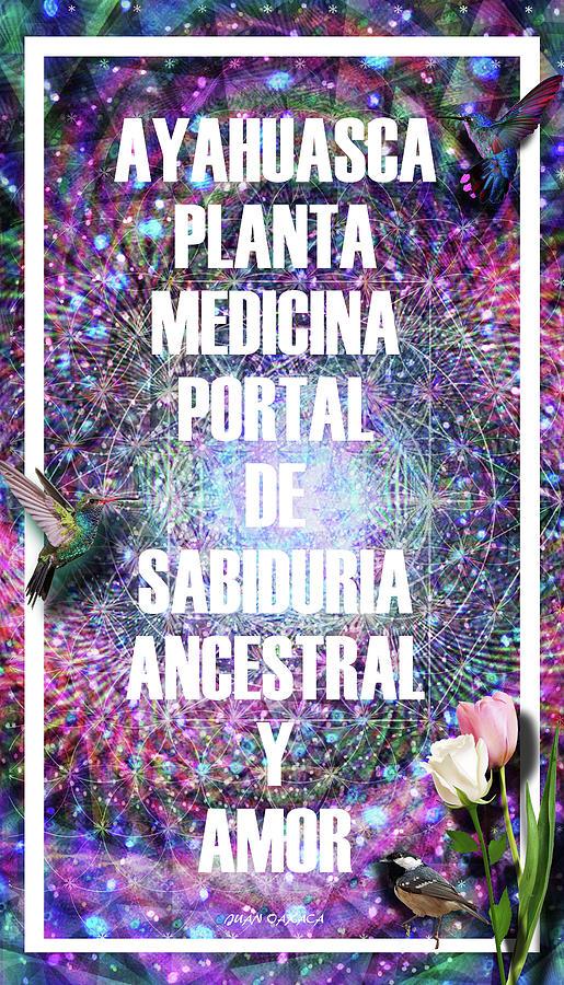 Portal De Sabiduria Ancestral Y Amor Digital Art by J U A N - O A X A C A