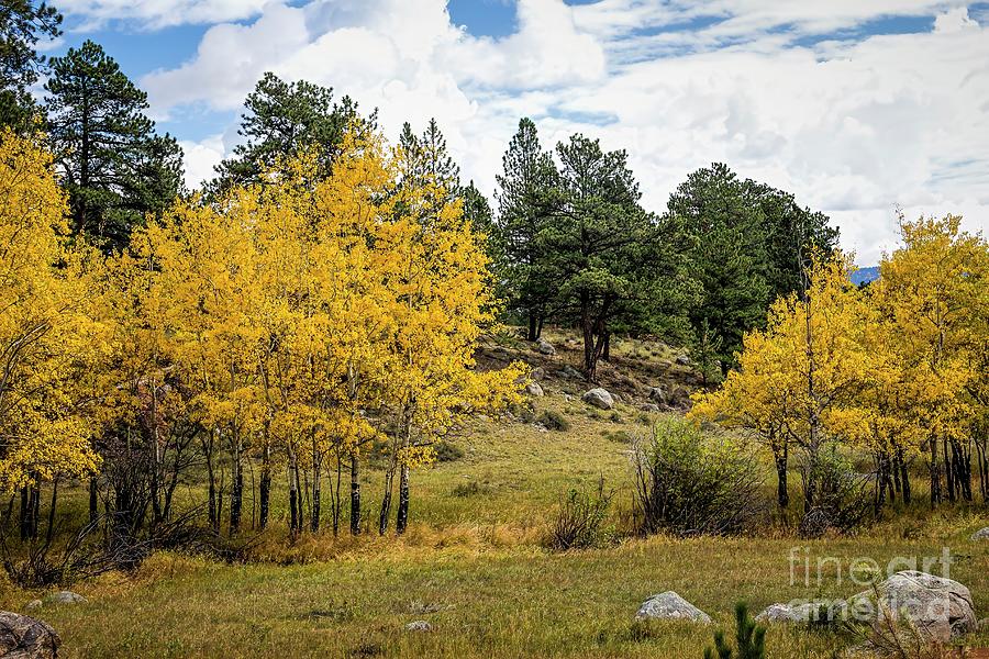 Rocky Mountain National Park Photograph - Portal by Jon Burch Photography