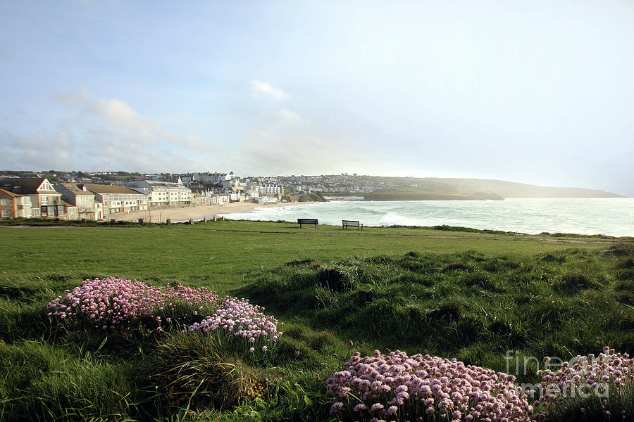 Porthmeor Thrift Photograph by Terri Waters
