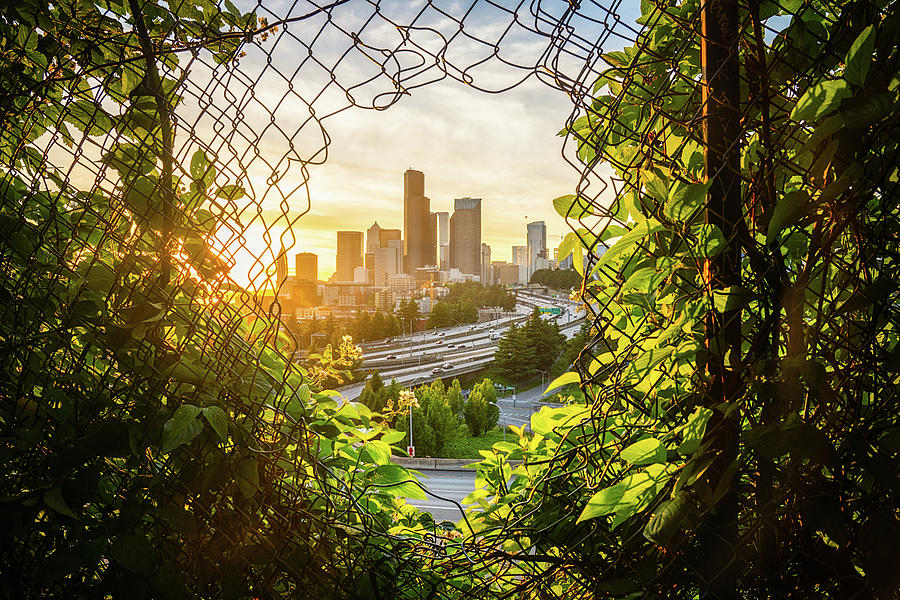 Porthole View of Downtown Seattle Skyline Photograph by James Udall