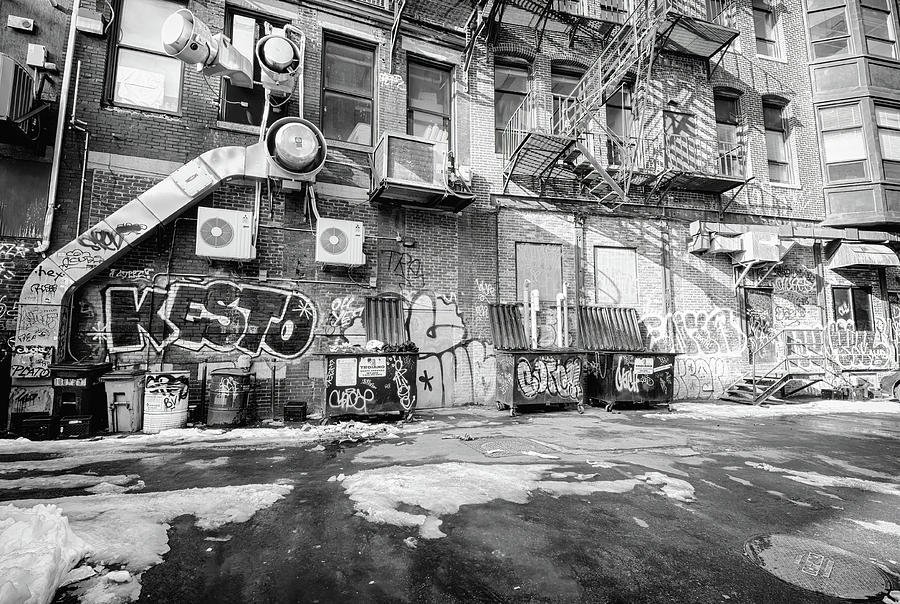 Portland Back Alley Photograph by Steven Nelson