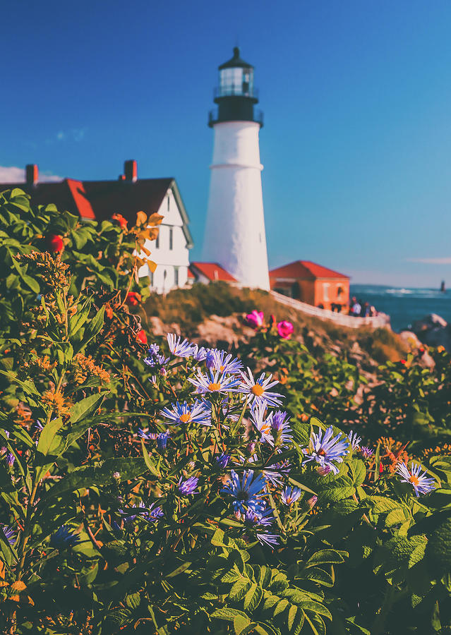Portland Head Light And Flowers Photograph by Dan Sproul