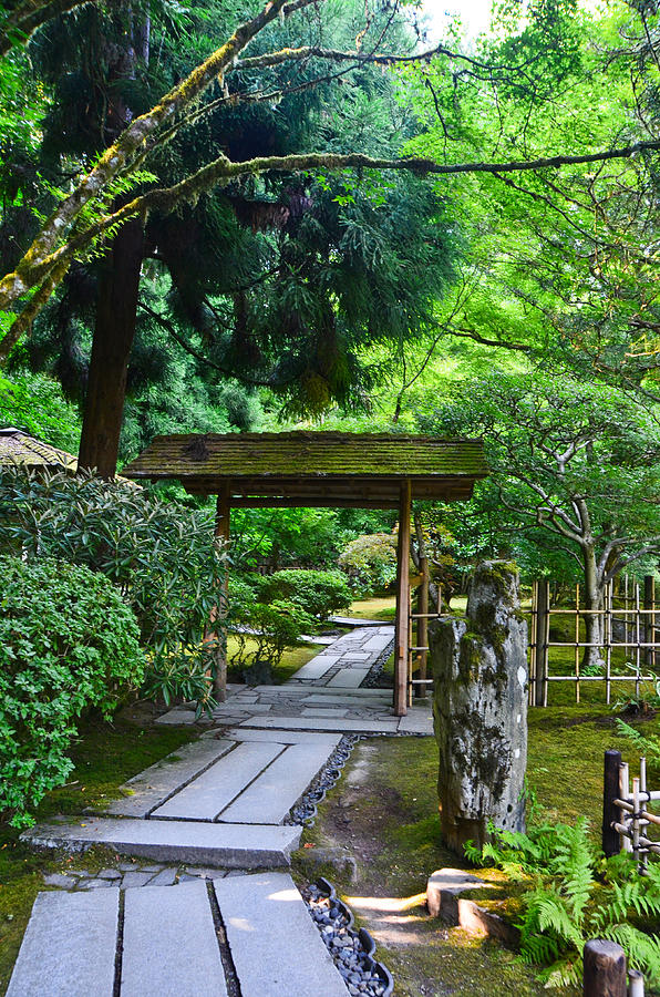 Portland Japanese Garden, Oregon-3 Photograph by Alex Vishnevsky