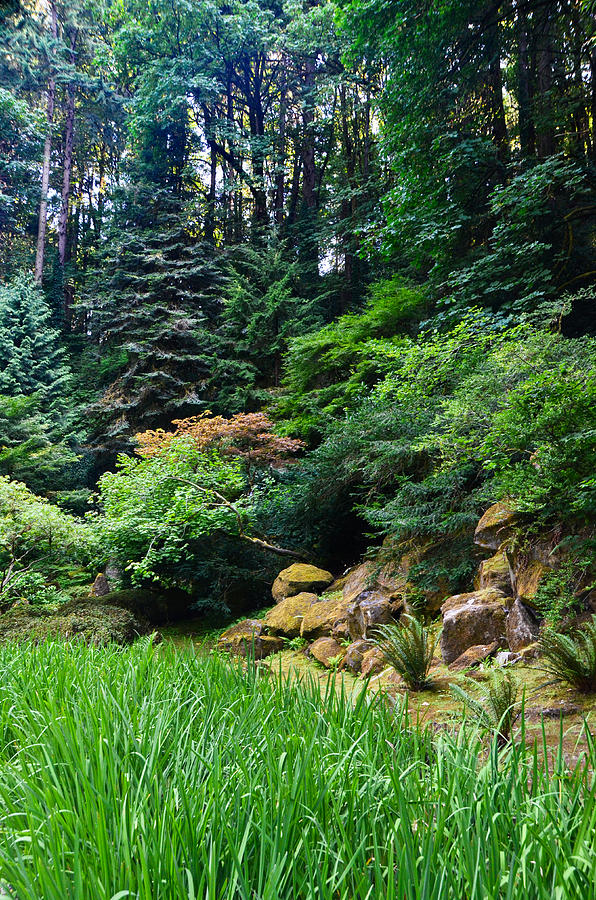 Portland Japanese Garden, Oregon-4 Photograph by Alex Vishnevsky