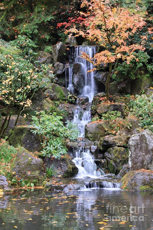 Portland Japanese Garden Waterfall in Autumn Photograph by Carol Groenen