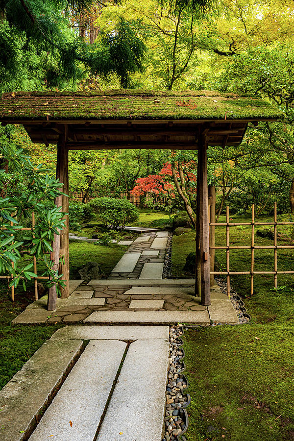 Portland Japanese Gardens 2022-21 Photograph by James Curzio - Fine Art ...